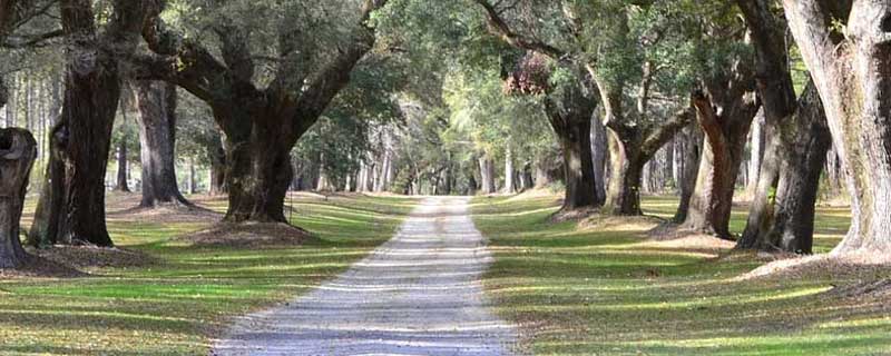 Build Affordable Homes On Your Land South Carolina